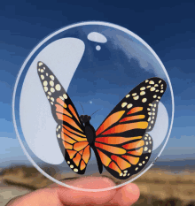 a person is holding a clear circle with a butterfly inside of it