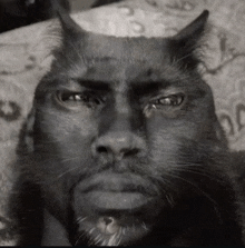 a black and white photo of a cat with horns on its face