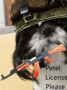 a picture of a dog wearing a helmet and holding a gun with the words " petel license please " on the bottom