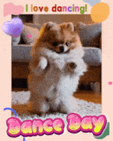 a picture of a dog dancing with the words i love dancing