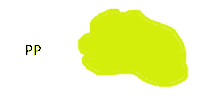 a drawing of a yellow blob with the letter pp behind it