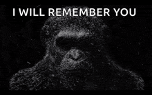 a black and white image of a monkey with the words " i will remember you " above it