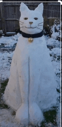 a snow cat with a bell on its neck