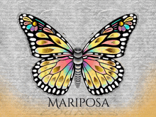 a colorful butterfly with the word mariposa written below it