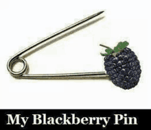 a safety pin with a blackberry on it is a blackberry pin .