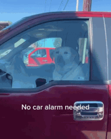 a dog is sitting in the driver 's seat of a red truck with the words " no car alarm needed " below it