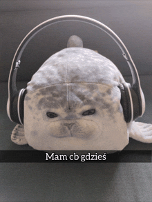 a stuffed seal wearing headphones says mam cb gdzie