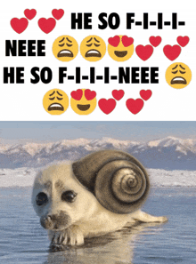 a seal with a snail on its back is surrounded by hearts and the words he so f-i-i-i