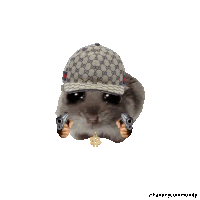 a hamster wearing a hat and holding two guns