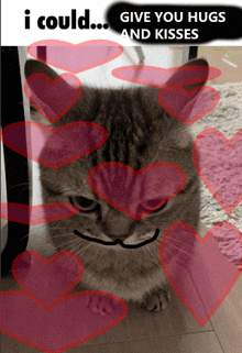 a picture of a cat with hearts around it and the words " i could ... give you hugs and kisses "