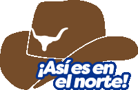 a picture of a cowboy hat with the words " así es en el norte " underneath it