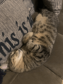 a cat is sleeping on a couch next to a pillow that says mississippi