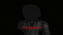 a silhouette of a person with the words nice ballzs bro written in red