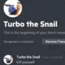 a screenshot of turbo the snail on a discord server