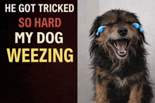 a dog with tears coming out of its eyes and the words he got tricked so hard my dog weezing behind it
