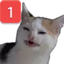 a calico cat with a red square with the number one on it