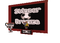 a sign that says stinser bronze with a soccer ball on it