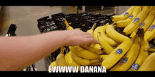 a person is touching a bunch of bananas with the words ewwww danana below them