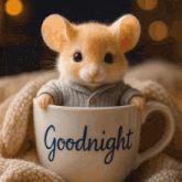 a mouse wearing a sweater is sitting in a cup that says goodnight