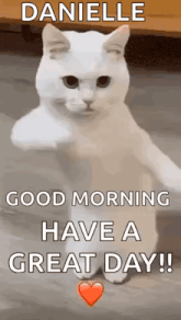 a white cat is standing on its hind legs and says `` good morning , have a great day ! ''