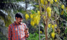 a man in a plaid shirt is standing in front of a tree looking at his cell phone .