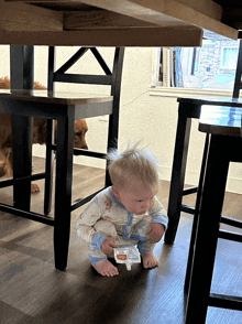 a baby is crawling under a table with a dog looking on