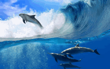 a group of dolphins swimming in the ocean near a wave