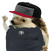 a hedgehog wearing a toyota hat is waving