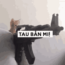 a kitten sitting on top of a gun with tau ban mi written on the bottom