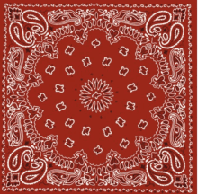 a red bandana with white paisley and a flower in the middle