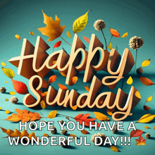 a happy sunday hope you have a wonderful day poster