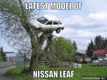 a nissan leaf is hanging from a tree