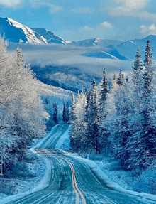 a snowy road in the mountains with trees covered in snow