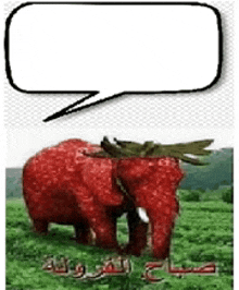 an elephant made of strawberries with a speech bubble above it .