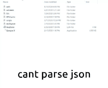 a screenshot of cant parse json in a file