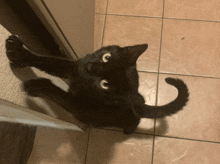 a black cat laying on a tile floor looking up at the camera