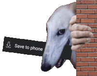 a white dog is peeking out from behind a brick wall holding a sign that says save to phone