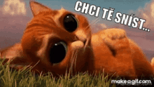 a cartoon cat is laying in the grass with the words " chci te snist " written on it