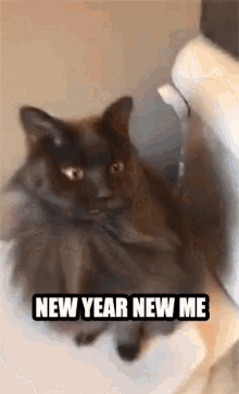 a cat sitting on a toilet with the words new year new me written below it