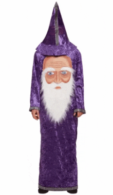 a person in a purple wizard costume with a beard