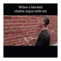 a man standing in front of a brick wall with the words " when a blocked chatter argue with me "