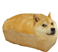 a dog that looks like a loaf of bread with a white background