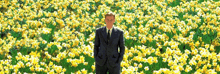 a man in a suit and tie is standing in a field of flowers .