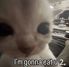 a close up of a cat saying `` i 'm gonna eat u 2 '' .