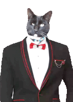 a black cat wearing a tuxedo with a red bow tie