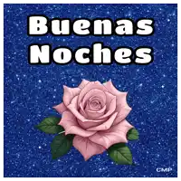 a pink rose is on a blue background with the words buenas noches above it