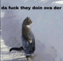 a cat in overalls is walking in the snow with the words `` da fuck they doin ova den '' written on the bottom