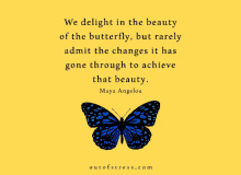 a quote from maya angelou with a butterfly on a yellow background