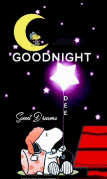 snoopy is holding a star in his hand and says goodnight sweet dreams .