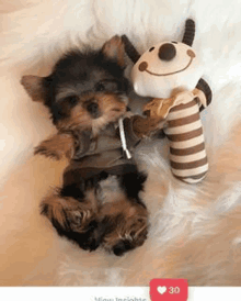 a small puppy is laying on a bed with a stuffed animal .